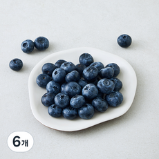 만나다 미국산 블루베리, 6개, 125g