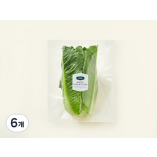 프리미엄 국내산 포기 로메인, 200g, 6개