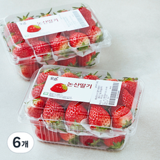 충남오감 논산 GAP 인증 설향 딸기 중과, 500g, 6개