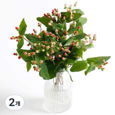 아임플라워 생화 하이페리콤, 혼합색상, 2개