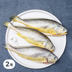 손질 부세, 450g(대,3마리), 2개