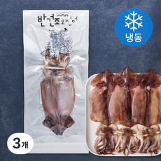 원양산 구룡포 해풍 반건조 오징어 (냉동), 450g(5미), 3개