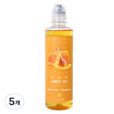 티바인 알룰로스 허니, 520g, 5개