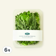 프리미엄 스마트팜 와일드루꼴라 믹스, 100g, 1개입, 6개