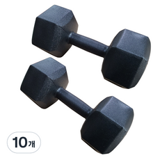 대한스포츠 육각아령, 2kg, 10개