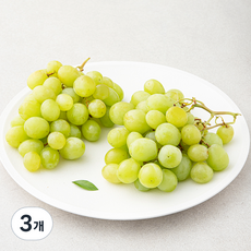 다조은 호주산 씨없는 청포도, 1.2kg, 3개