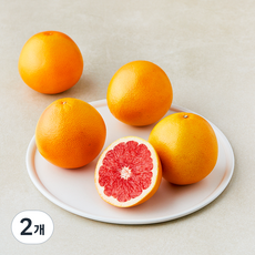 선우 남아공 자몽, 1.5kg, 2개