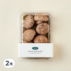친환경 인증 프리미엄 화고버섯, 200g, 2개