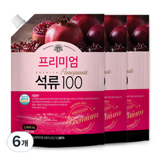 내추럴박스 100 석류즙, 1L, 6개