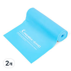 아이워너 엑서사이즈 밴드, 블루, 2개