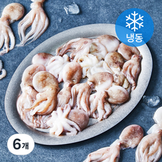 올프레시 IQF 주꾸미 (냉동), 500g, 6개