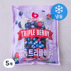베리밸리 트리플베리 (냉동), 5개, 1kg