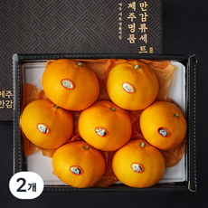 귤탐 고당도 천혜향 선물세트, 2kg(6~9입), 2개