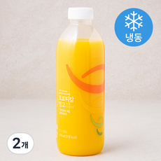 잠바주스 과채주스 트로피칼 망고 for family (냉동), 710ml, 2개