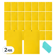 Market Plan Crop 超強力害蟲黏蟲板陷阱 30入組 25 x 40 cm, 2套