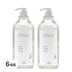 비엔디생활건강 보타닉 주방세제 1000ml x 2p + 전용펌프 세트, 6세트, 2L