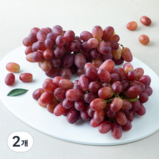 곰곰 호주산 씨없는 적포도, 2개, 1.2kg