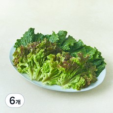 반반 상추, 300g, 6개