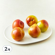 새콤 달콤한 자두, 1kg(중과), 2팩