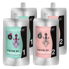 갈라토닉 스퀴드 잉크 칼라 1제 500ml + 2제 500ml 염색제, 2N검정색, 2개