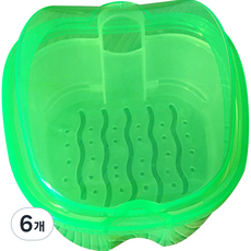 Dareunina 假牙收納盒 透明綠色, 1入, 6個