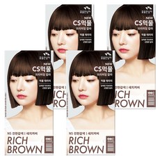 꽃을든남자 CS먹물 프리미엄 헤어 칼라크림 염모제, N5 진한갈색, 4개