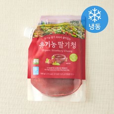 자연원 유기가공식품 인증 딸기청 (냉동), 500g, 1개