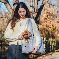 Gaegwacheonseon 寵物Cane外出包 車用座椅兩用, 柔和灰, 1個