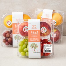 후르츠콕 패밀리세트 6호, 2.5kg, 1세트