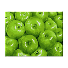 Momo Painting DIY名畫繪圖組 40 x 50cm, 青蘋果, 1組