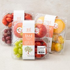 후르츠콕 패밀리세트 7호, 2.5kg, 1세트