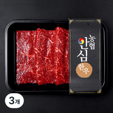 농협안심한우 보섭살 1등급 구이용 (냉장), 3개, 200g