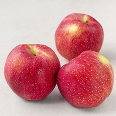 곰곰 홍로 사과 (특대), 1kg, 1팩