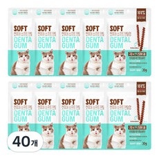 캣퓨어 고양이 소프트 덴탈껌, 20g, 40개, 구강 면역건강에 도움