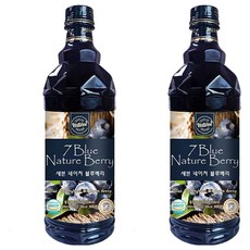 조은약초 세븐 블루베리청, 900ml, 2개
