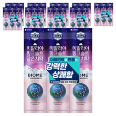 히말라야핑크솔트 담은 바이옴 잇몸 구취전문 치약, 160g, 30개