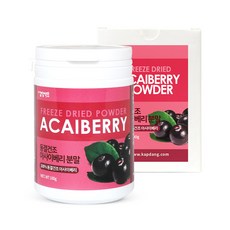 갑당약초 동결건조 유기농 아사이베리 분말 고급형, 100g, 1개