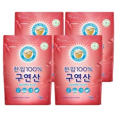 한입 100% 구연산, 1kg, 4개