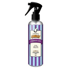 스멜리 룸앤패브릭, 250ml, 1개, 런드리데이