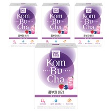 아워티 콤부차 베리, 5g, 30개입, 4개