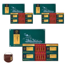 천지인 산삼배양근 혼합 세트 + 쇼핑백, 3세트
