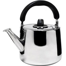 QUEEN SENSE 不鏽鋼燒水壺, 5L, 混色, 1個