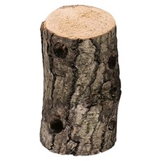 PetBest 蟲森林 國產優質產卵木, 1個, 單一顏色