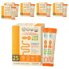 닥터피플 그린핏유산균, 6개, 60g