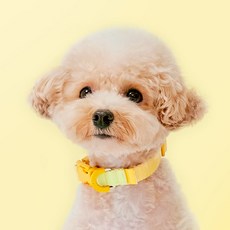 MY FLUFFY 狗狗Zero項圈, 黃色, 1個