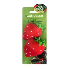 Aumüller 奧咪樂 德國貓草 田園草莓 1組 混和顏色, 貓咪玩具