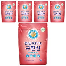 한입 100% 구연산, 1kg, 5개