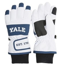 YALE KIDS 青少年兒童款Logo拼色滑雪手套 YJCTGLD43167