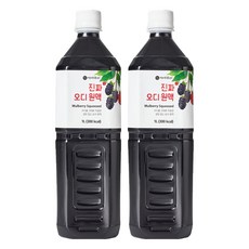 이제부터 진짜 오디 원액, 1L, 2개