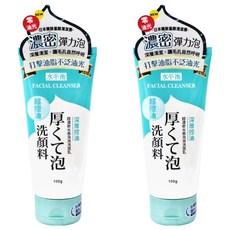 水平衡 台灣公司貨 水感泡泡洗面乳 控油, 100g, 2條, 2件